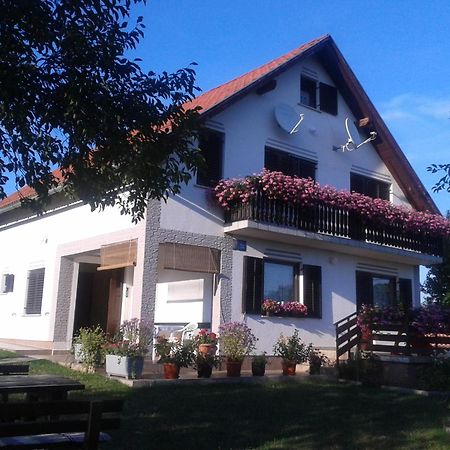 Guest House Adrijana Seliste Dreznicko Εξωτερικό φωτογραφία
