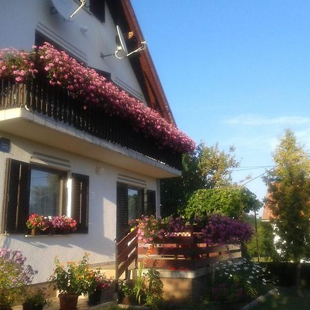 Guest House Adrijana Seliste Dreznicko Εξωτερικό φωτογραφία