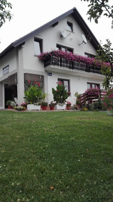 Guest House Adrijana Seliste Dreznicko Εξωτερικό φωτογραφία