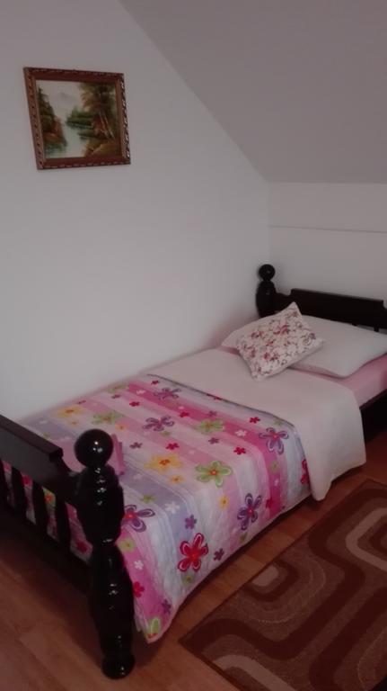 Guest House Adrijana Seliste Dreznicko Εξωτερικό φωτογραφία