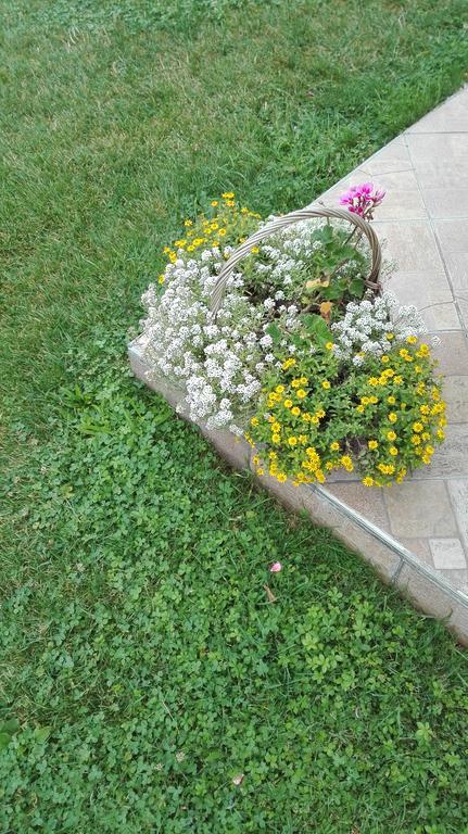 Guest House Adrijana Seliste Dreznicko Εξωτερικό φωτογραφία