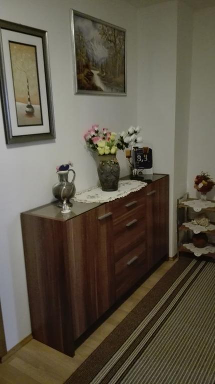 Guest House Adrijana Seliste Dreznicko Εξωτερικό φωτογραφία