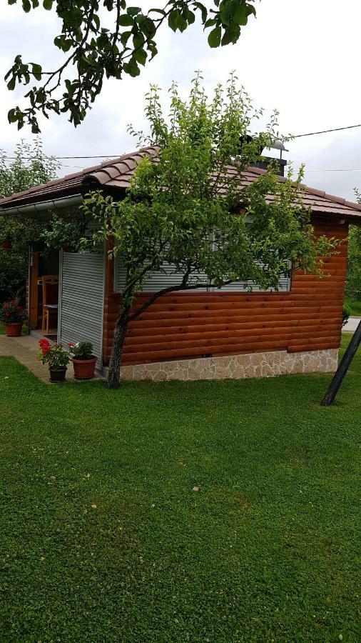 Guest House Adrijana Seliste Dreznicko Εξωτερικό φωτογραφία